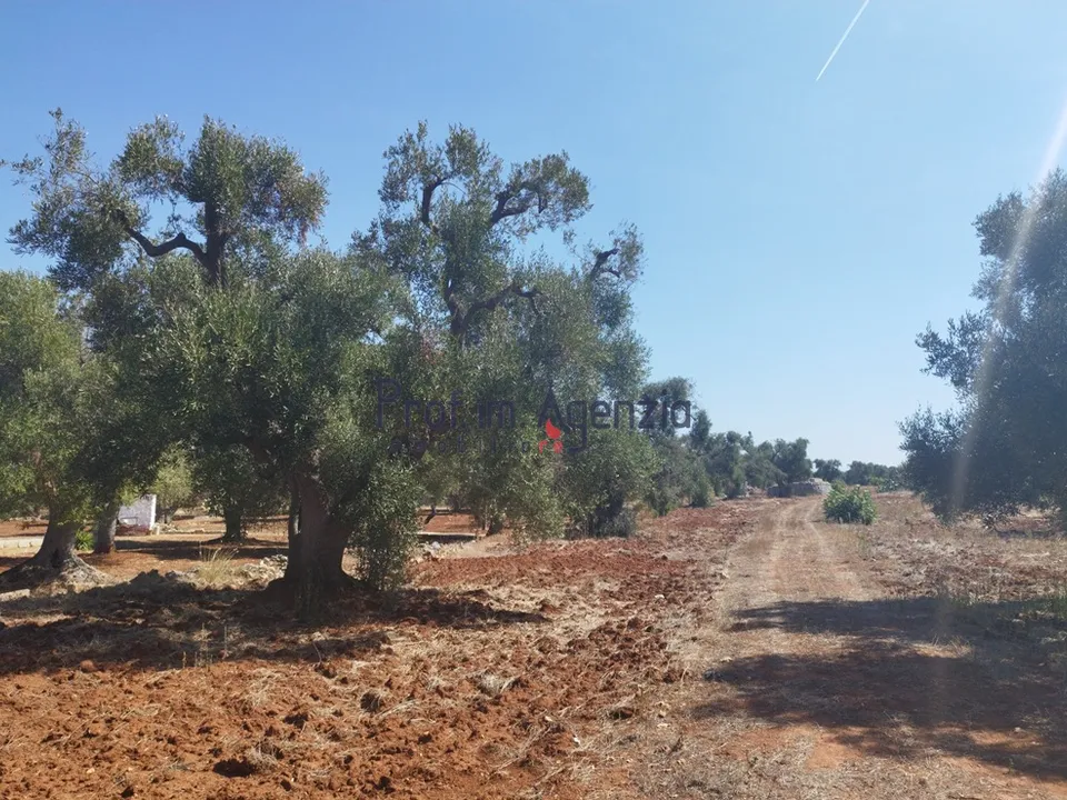 Landejendom i Carovigno, Brindisi - foto 5